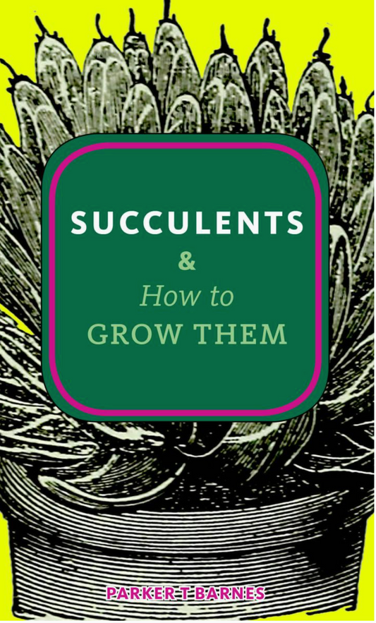 Succulents & How to Grow Them