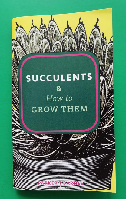 Succulents & How to Grow Them